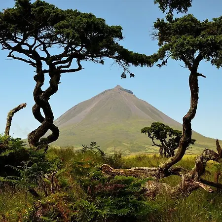 Nocleg ze śniadaniem Calma Do Mar Madalena (Azores)