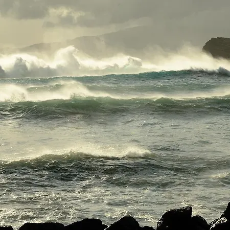 Calma Do Mar Madalena (Azores)