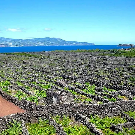 Calma Do Mar Bed & Breakfast Madalena (Azores)