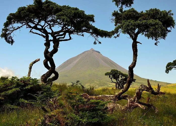 Nocleg ze śniadaniem Calma Do Mar Madalena (Azores)