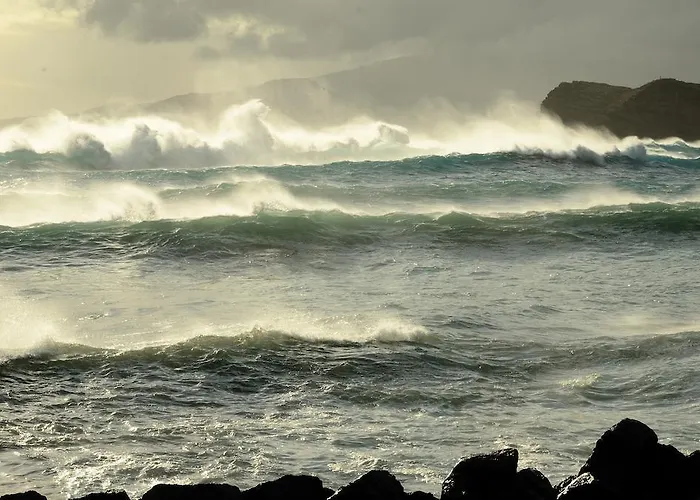 Calma Do Mar Madalena (Azores)